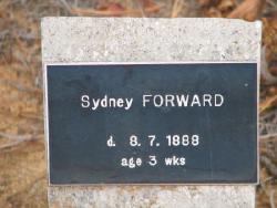 Sydney Forward