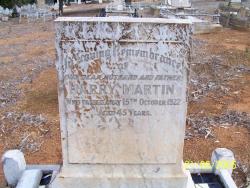 Harry Martin