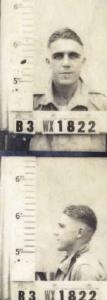Robert D Snelling
