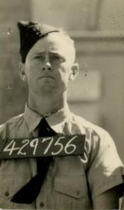 Robert F Williams
