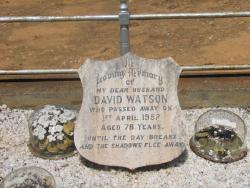 David Watson