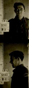 Noel Winter